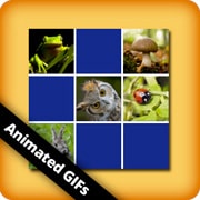 Matching game for seniors - Nature Animated GIFs - online and free