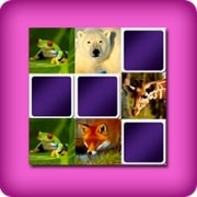 Big Matching game - animals