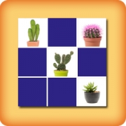 Memory game for seniors - Cactus - online and free
