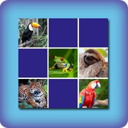 Matching game for kids - Tropical animals - online and free