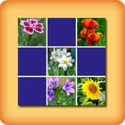 Memory game for seniors - Flowers - online and free