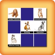 Matching game for seniors - Dog breeds - online and free