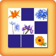 Jeu Memory pour seniors avec des Fleurs - En ligne et gratuit