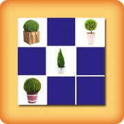Memory game for seniors - Boxwood - online and free