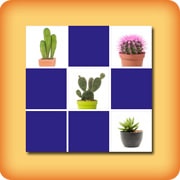 Jeu de memory pour séniors - Cactus - en ligne et gratuit