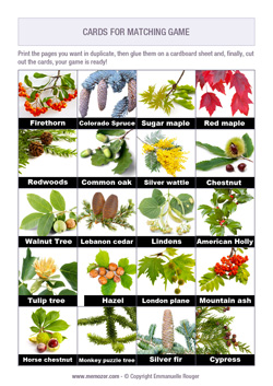 Printable matching game for seniors - leaves of trees