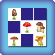 Memory game for kids - mushrooms - online and free