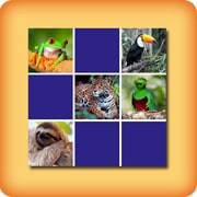 Jeu de memory pour séniors - Animaux tropicaux - en ligne et gratuit