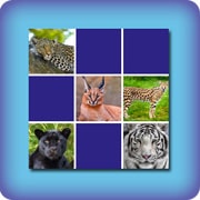 Jeu de memory pour enfants - félins - en ligne et gratuit