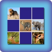 Memory game for kids - African animals - online and free