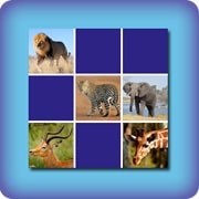 Matching game for kids - African animals - online and free