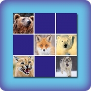 Memory game for kids - Wild animals - online and free