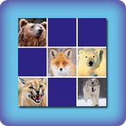 Matching game for kids - Wild animals - online and free