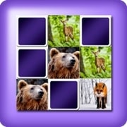 2 player Matching game - animals