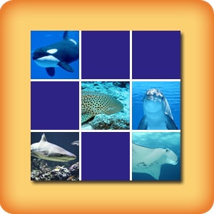 Matching game for seniors - Marine animals - online and free