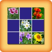 Jeu Memory Fleurs - En ligne et gratuit