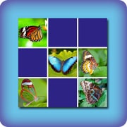 Matching game for kids - butterflies - online and free
