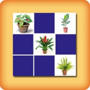Memory game for seniors - Green plants - online and free