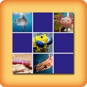 Matching game - Strange animals - online and free