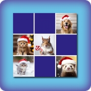 Matching game - Animals celebrate christmas - online and free
