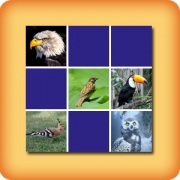 Memory game for seniors - Birds - online and free