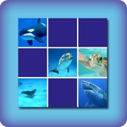 Matching game for kids - Marine animals - online and free