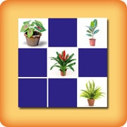 Jeu Memory avec des Plantes vertes  - En ligne et gratuit