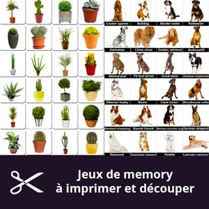 Jeux de memory pour séniors à imprimer - gratuits Jeux de memory pour séniors à imprimer - gratuits