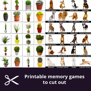 Free Printable matching games for seniors