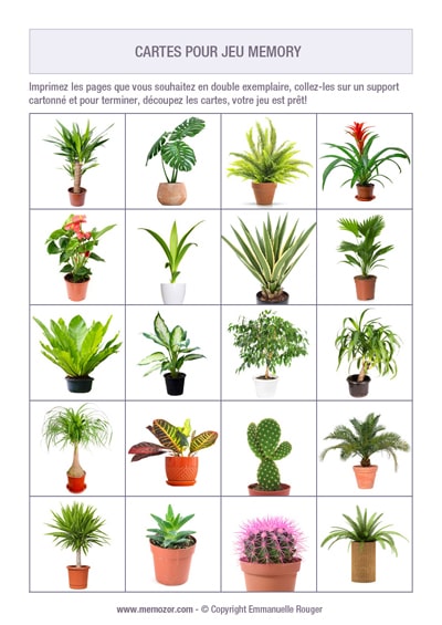 Jeu de memory à imprimer - Plantes vertes