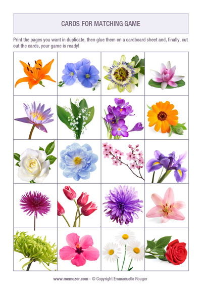 Printable matching game for seniors - Flowers - Print and cut out the ...
