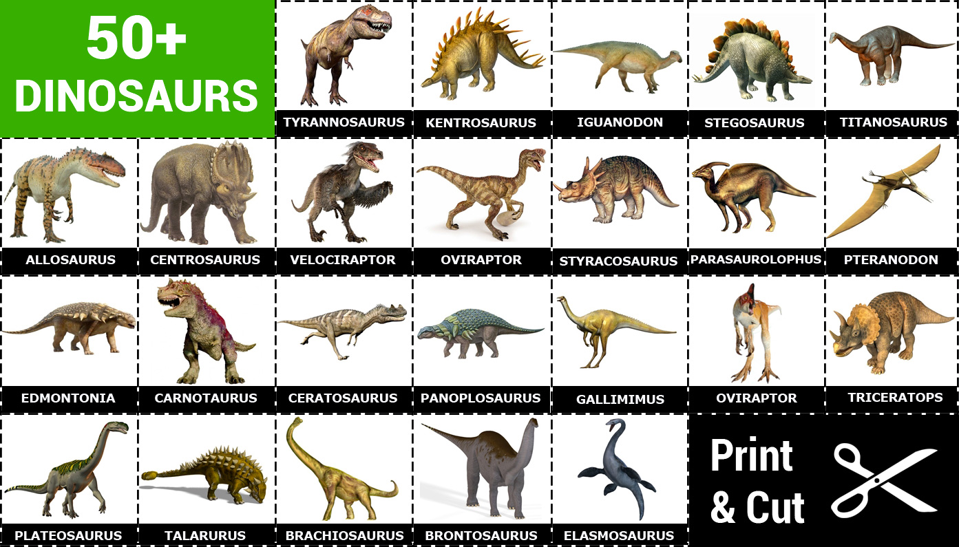 Dinosaurs Cards For Matching Game Print Cut Memozor