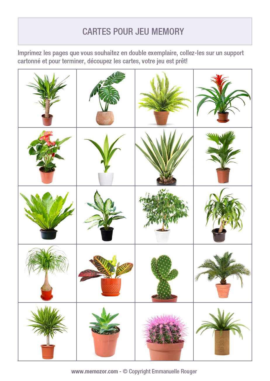 Jeu de memory à imprimer pour séniors - plantes vertes - Imprimez et ...