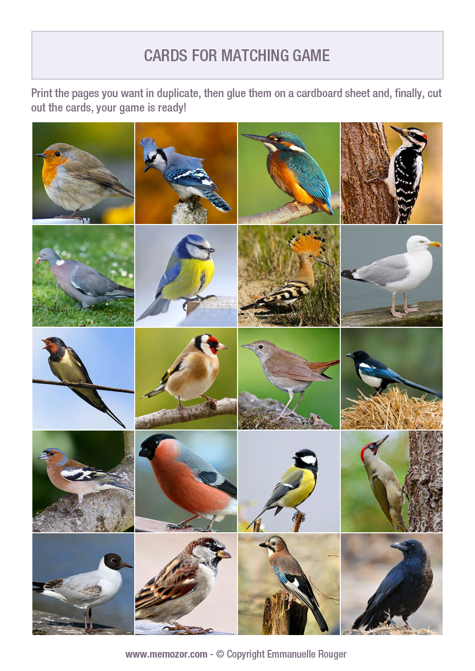 Printable matching game - birds - Print and cut out the cards | Memozor