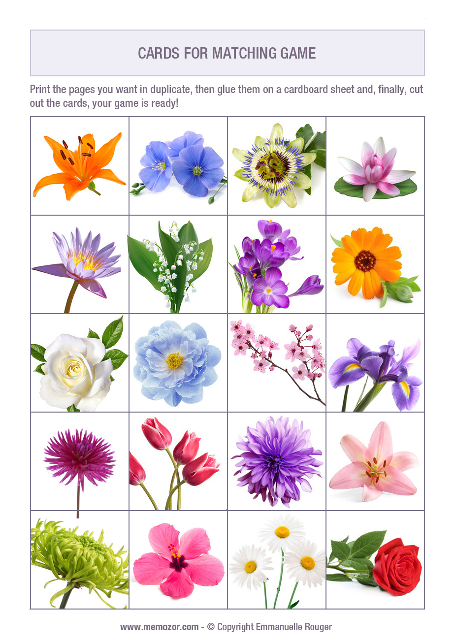 Printable Matching Game For Seniors Flowers Print And Cut Out The