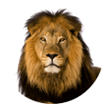 Memory sur le thème des animaux