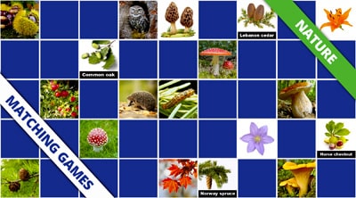 Nature Matching games