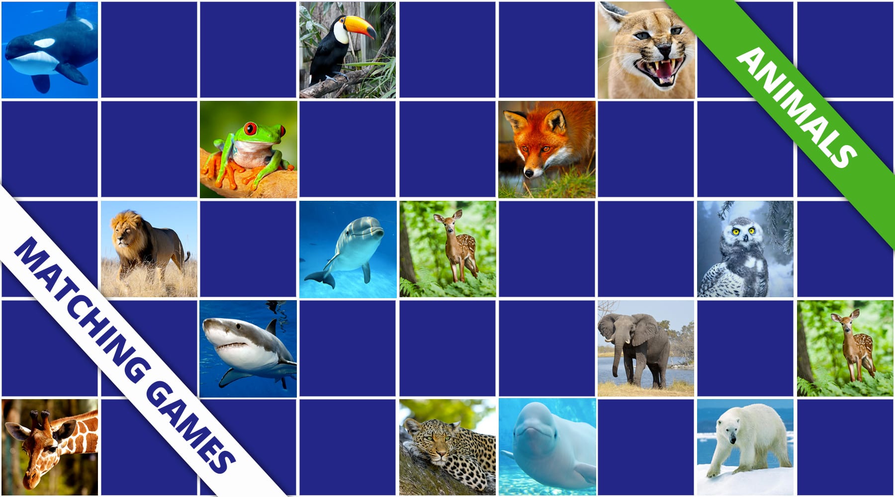 Animals Matching games - Online & free | Memozor