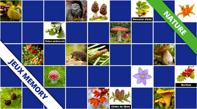 Jeux de memory sur le thème de la nature - En ligne et gratuits Jeux de memory sur le thème de la nature - En ligne et gratuits