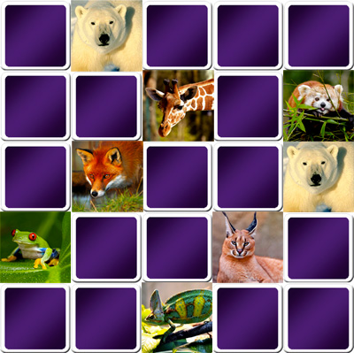 Big Matching game animals Big Matching game animals