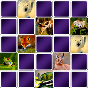 Grand jeu de memory avec des animaux