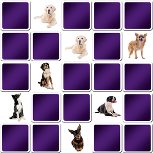 Grand jeu de memory avec des chiens