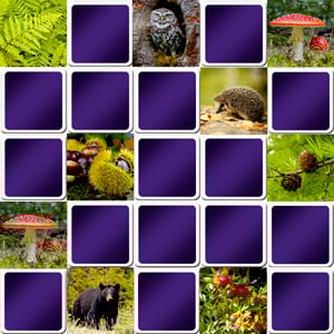 Grand jeu de memory - forêt