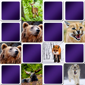 Jeu de memory pour séniors avec des animaux Jeu de memory pour séniors avec des animaux
