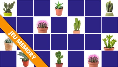 Jeu Memory Cactus Jeu Memory Cactus