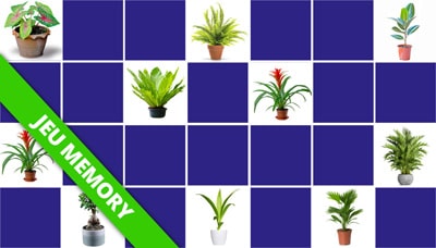 Jeu Memory Plantes vertes Jeu Memory Plantes vertes