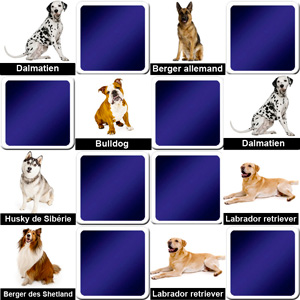 jeu memory enfants - les races de chien - en ligne et gratuit