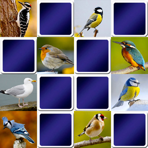 Jeu de memory pour adultes - Oiseaux communs Jeu de memory pour adultes - Oiseaux communs
