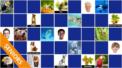 Jeux de memory pour la mémoire des séniors - en ligne et gratuits