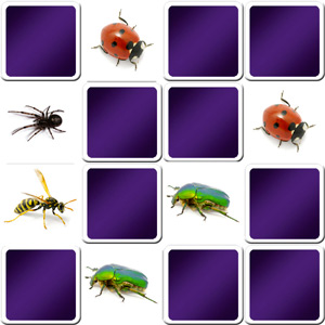 jeu memory pour enfants - Les insectes - en ligne et gratuit